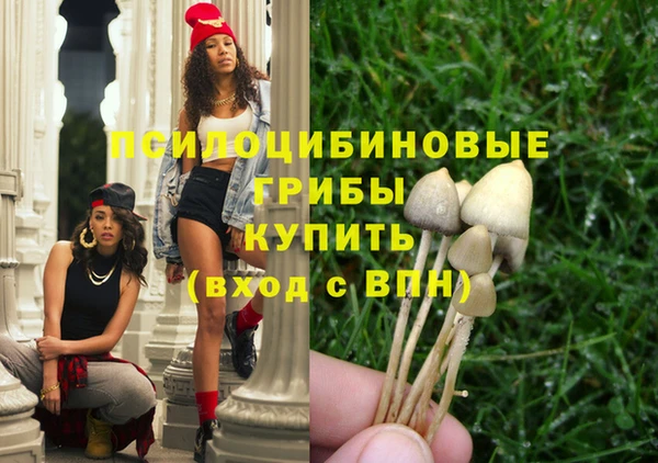 бошки Балахна